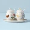 Lenox Butterfly Meadow 7-Piece Condiment Set 2 Lenox Butterfly Meadow 7-Piece Condiment Set -Lenox Shop 833956 w10 e7bcc431 6d54 46c0 8de6 0e98be83039f