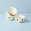 Lenox Butterfly Meadow 4-Piece Dessert Bowl Set -Lenox Shop 880122 W10