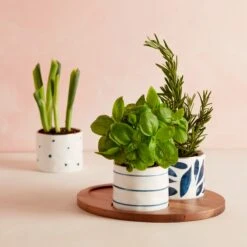 Lenox Blue Bay 4-Piece Snack Bowl & Tray Set -Lenox Shop 890207 LNP S21 FEA 3