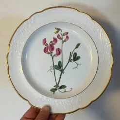 Antique Early 19th Century Spode Porcelain Botanical Plate Decorated With Hand Painted Named Specimen - Pease Earth-Nut -Lenox Shop antique early 19th century spode porcelain botanical plate decorated with hand painted named specimen pease earth nut 0957