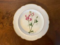 Antique Early 19th Century Spode Porcelain Botanical Plate Decorated With Hand Painted Named Specimen - Pease Earth-Nut -Lenox Shop antique early 19th century spode porcelain botanical plate decorated with hand painted named specimen pease earth nut 1907