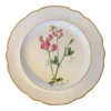 Antique Early 19th Century Spode Porcelain Botanical Plate Decorated With Hand Painted Named Specimen - Pease Earth-Nut -Lenox Shop antique early 19th century spode porcelain botanical plate decorated with hand painted named specimen pease earth nut 2801