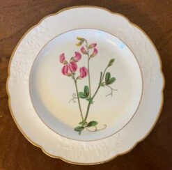 Antique Early 19th Century Spode Porcelain Botanical Plate Decorated With Hand Painted Named Specimen - Pease Earth-Nut -Lenox Shop antique early 19th century spode porcelain botanical plate decorated with hand painted named specimen pease earth nut 6941