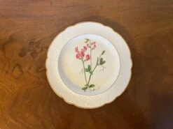 Antique Early 19th Century Spode Porcelain Botanical Plate Decorated With Hand Painted Named Specimen - Pease Earth-Nut -Lenox Shop antique early 19th century spode porcelain botanical plate decorated with hand painted named specimen pease earth nut 6998