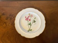 Antique Early 19th Century Spode Porcelain Botanical Plate Decorated With Hand Painted Named Specimen - Pease Earth-Nut -Lenox Shop antique early 19th century spode porcelain botanical plate decorated with hand painted named specimen pease earth nut 9754