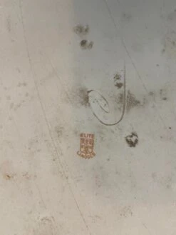 Antique Elite Works Limoges France Tea Tray And Sugar Jar - Set Of 2 -Lenox Shop antique elite works limoges france tea tray and sugar jar set of 2 7204