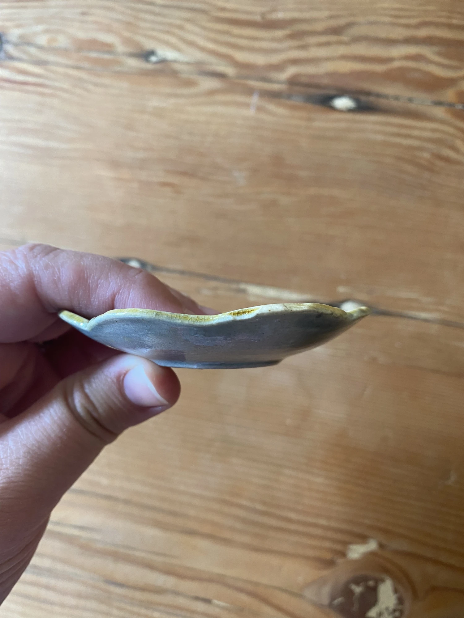 Early 20th Century Antique Majolica Butter Pat 6 Early 20th Century Antique Majolica Butter Pat - Image 4